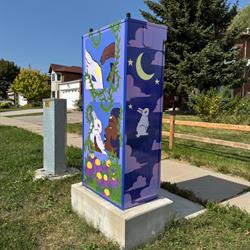 Image 6